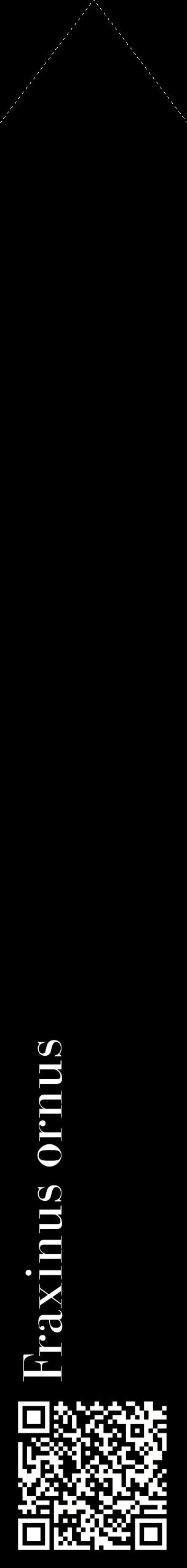 Étiquette de : Fraxinus ornus - format c - style blanche59_simplebod avec qrcode et comestibilité