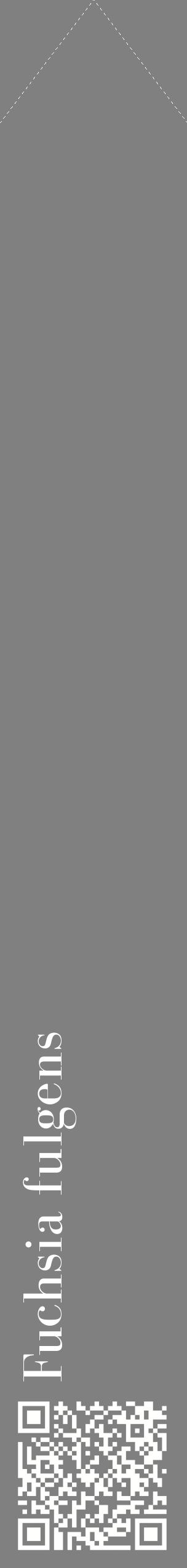 Étiquette de : Fuchsia fulgens - format c - style blanche57_simplebod avec qrcode et comestibilité