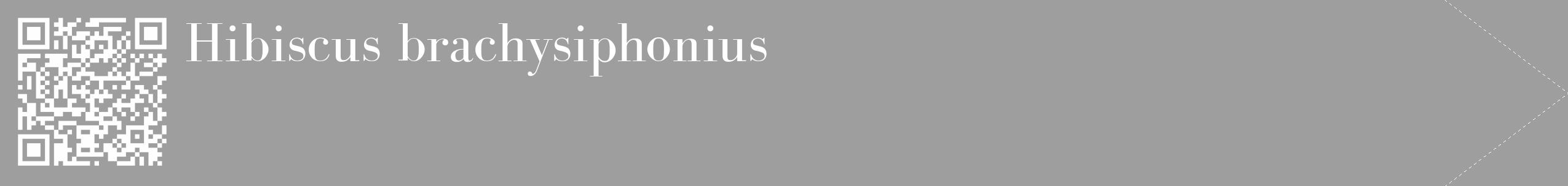 Étiquette de : Hibiscus brachysiphonius - format c - style blanche42_simple_simplebod avec qrcode et comestibilité