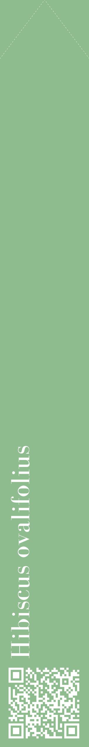 Étiquette de : Hibiscus ovalifolius - format c - style blanche13_simplebod avec qrcode et comestibilité