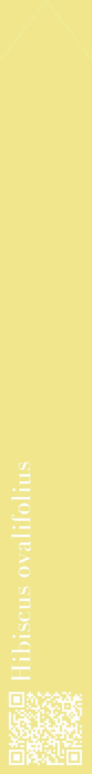 Étiquette de : Hibiscus ovalifolius - format c - style blanche20_simplebod avec qrcode et comestibilité