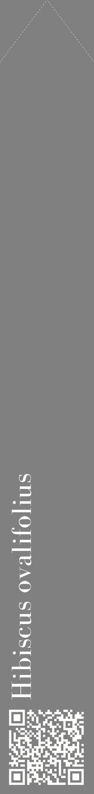 Étiquette de : Hibiscus ovalifolius - format c - style blanche57_simplebod avec qrcode et comestibilité