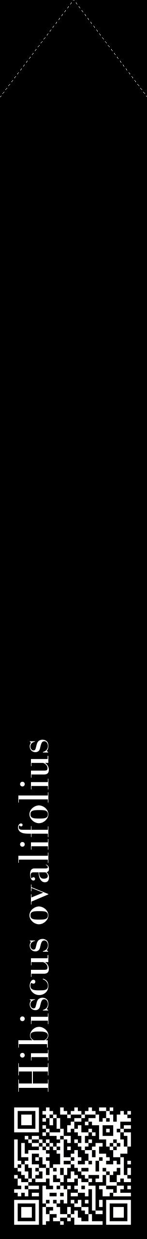 Étiquette de : Hibiscus ovalifolius - format c - style blanche59_simplebod avec qrcode et comestibilité