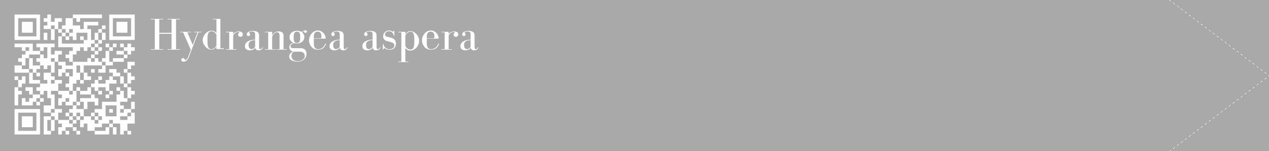 Étiquette de : Hydrangea aspera - format c - style blanche13_simple_simplebod avec qrcode et comestibilité