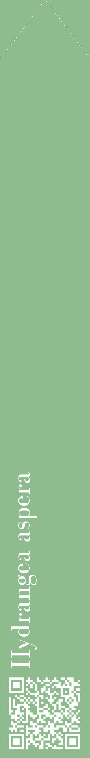 Étiquette de : Hydrangea aspera - format c - style blanche13_simplebod avec qrcode et comestibilité