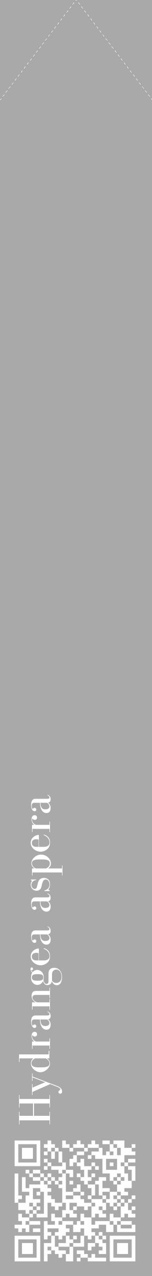 Étiquette de : Hydrangea aspera - format c - style blanche13_simple_simplebod avec qrcode et comestibilité - position verticale