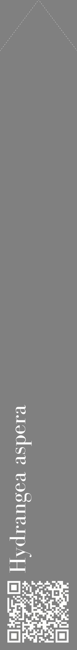 Étiquette de : Hydrangea aspera - format c - style blanche57_simplebod avec qrcode et comestibilité