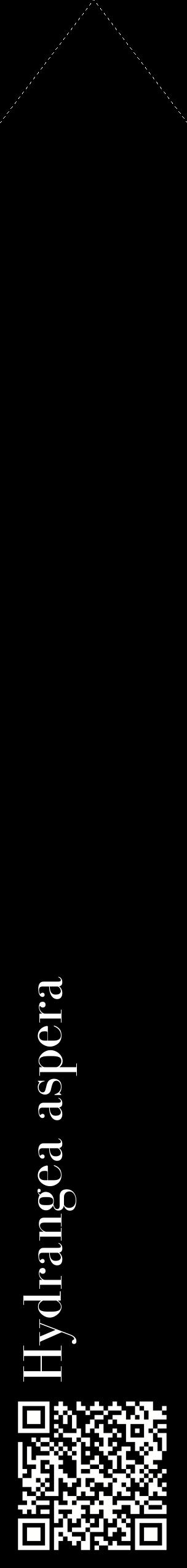 Étiquette de : Hydrangea aspera - format c - style blanche59_simplebod avec qrcode et comestibilité