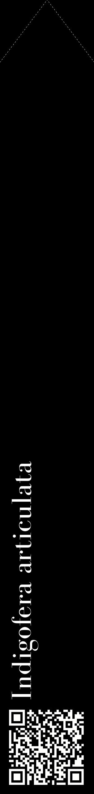 Étiquette de : Indigofera articulata - format c - style blanche59_simplebod avec qrcode et comestibilité