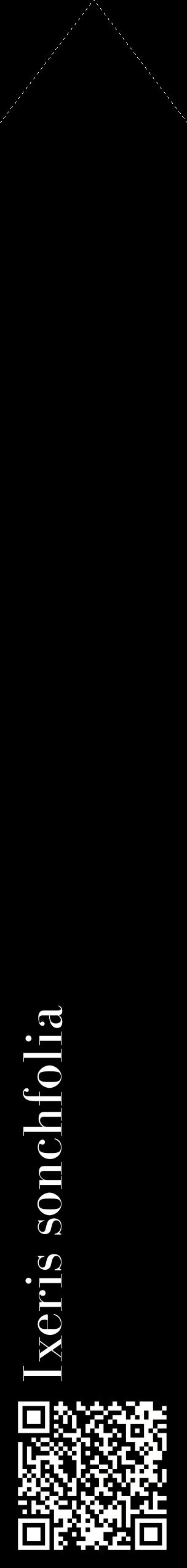 Étiquette de : Ixeris sonchfolia - format c - style blanche59_simplebod avec qrcode et comestibilité