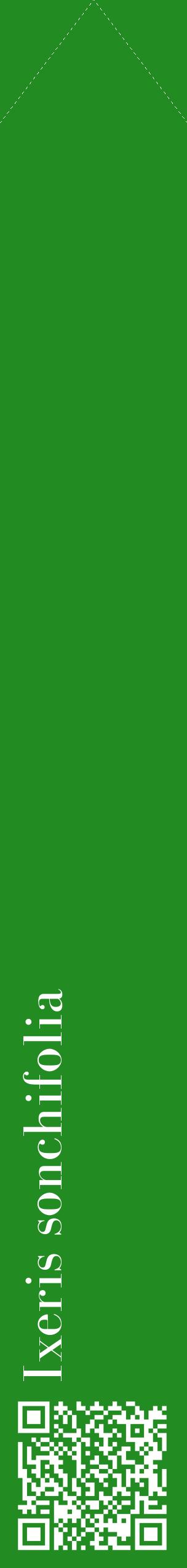 Étiquette de : Ixeris sonchifolia - format c - style blanche10_simplebod avec qrcode et comestibilité