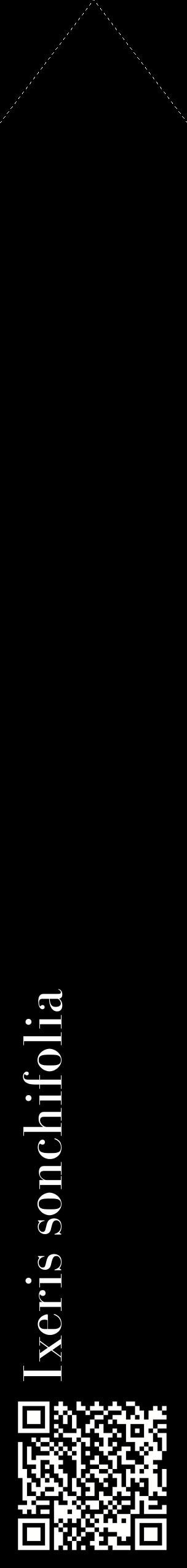 Étiquette de : Ixeris sonchifolia - format c - style blanche59_simplebod avec qrcode et comestibilité