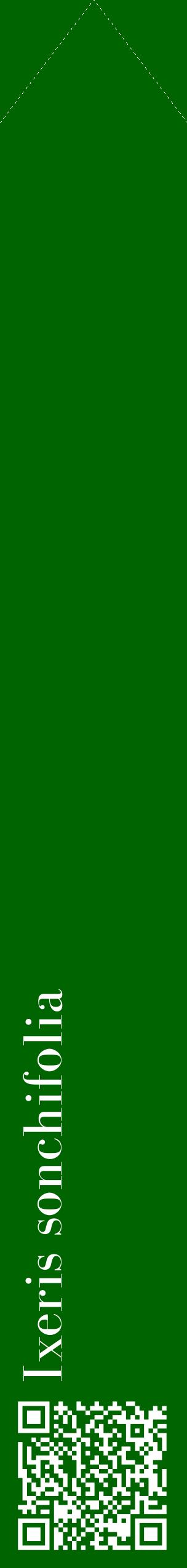 Étiquette de : Ixeris sonchifolia - format c - style blanche8_simplebod avec qrcode et comestibilité