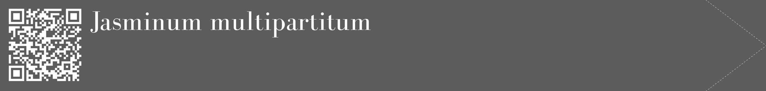 Étiquette de : Jasminum multipartitum - format c - style blanche49_simple_simplebod avec qrcode et comestibilité