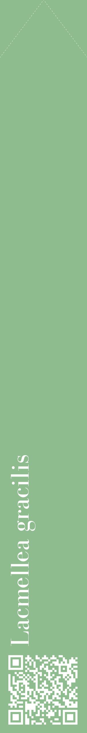 Étiquette de : Lacmellea gracilis - format c - style blanche13_simplebod avec qrcode et comestibilité