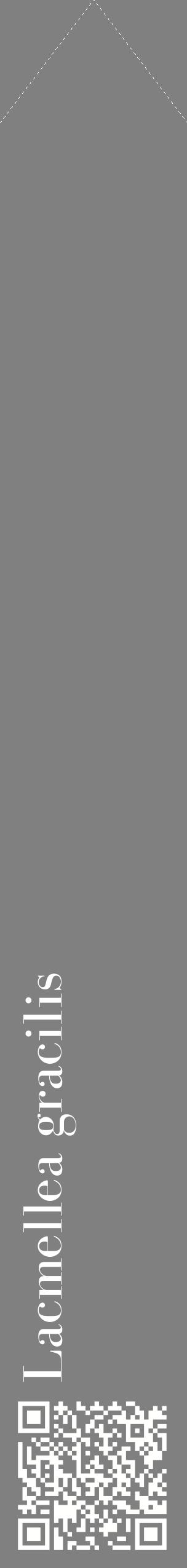 Étiquette de : Lacmellea gracilis - format c - style blanche57_simplebod avec qrcode et comestibilité