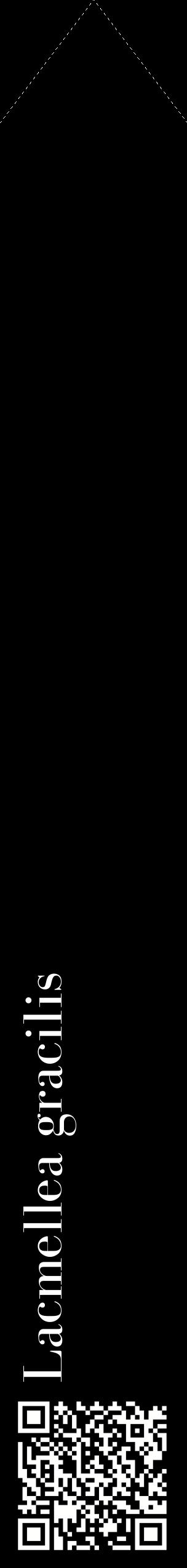Étiquette de : Lacmellea gracilis - format c - style blanche59_simplebod avec qrcode et comestibilité