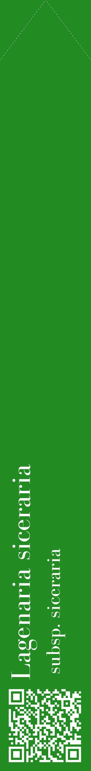 Étiquette de : Lagenaria siceraria subsp. siceraria - format c - style blanche10_simplebod avec qrcode et comestibilité