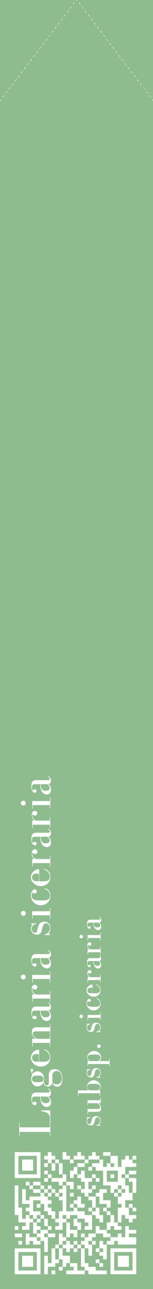 Étiquette de : Lagenaria siceraria subsp. siceraria - format c - style blanche13_simplebod avec qrcode et comestibilité
