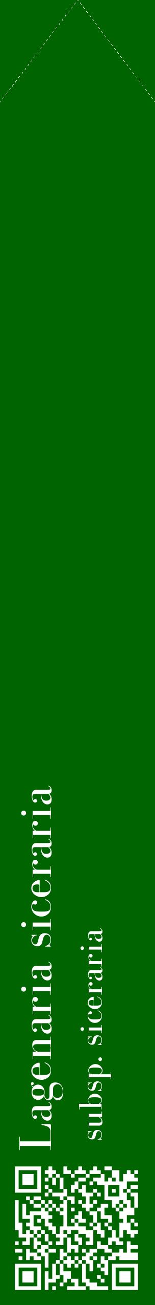 Étiquette de : Lagenaria siceraria subsp. siceraria - format c - style blanche8_simplebod avec qrcode et comestibilité
