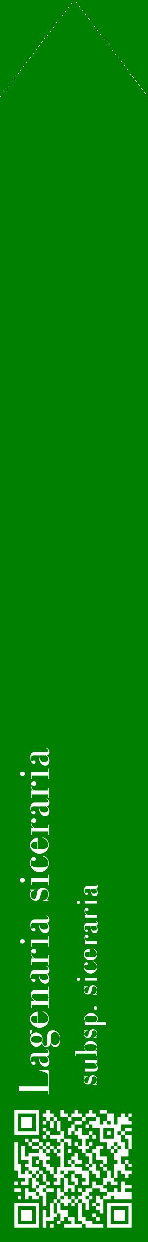 Étiquette de : Lagenaria siceraria subsp. siceraria - format c - style blanche9_simplebod avec qrcode et comestibilité