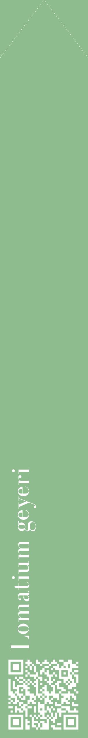 Étiquette de : Lomatium geyeri - format c - style blanche13_simplebod avec qrcode et comestibilité