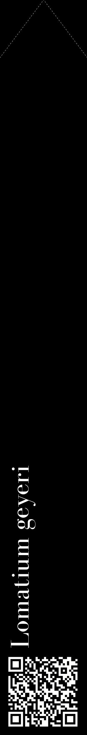 Étiquette de : Lomatium geyeri - format c - style blanche59_simplebod avec qrcode et comestibilité
