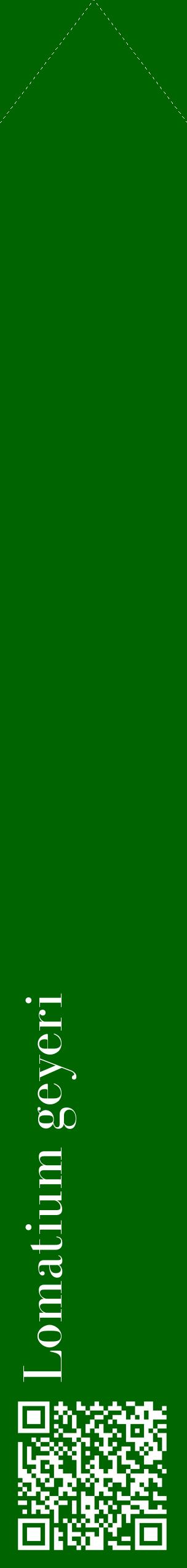 Étiquette de : Lomatium geyeri - format c - style blanche8_simplebod avec qrcode et comestibilité
