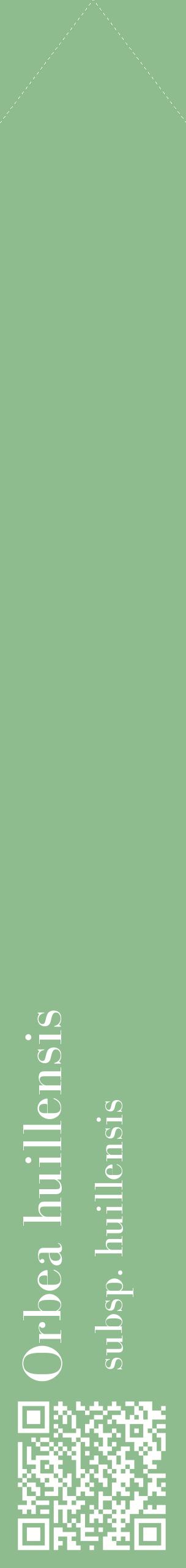 Étiquette de : Orbea huillensis subsp. huillensis - format c - style blanche13_simplebod avec qrcode et comestibilité