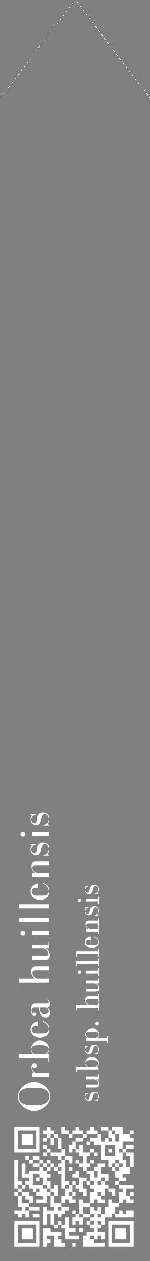 Étiquette de : Orbea huillensis subsp. huillensis - format c - style blanche57_simplebod avec qrcode et comestibilité