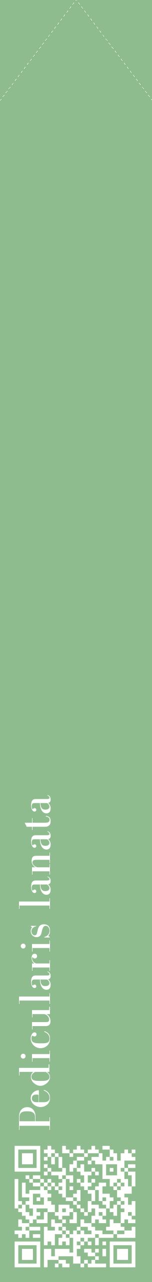 Étiquette de : Pedicularis lanata - format c - style blanche13_simplebod avec qrcode et comestibilité