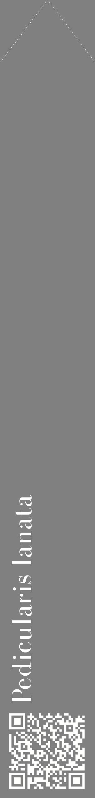 Étiquette de : Pedicularis lanata - format c - style blanche57_simplebod avec qrcode et comestibilité