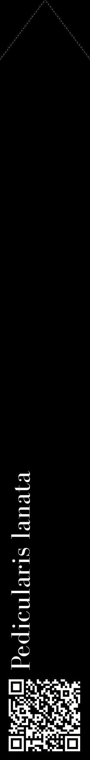 Étiquette de : Pedicularis lanata - format c - style blanche59_simplebod avec qrcode et comestibilité