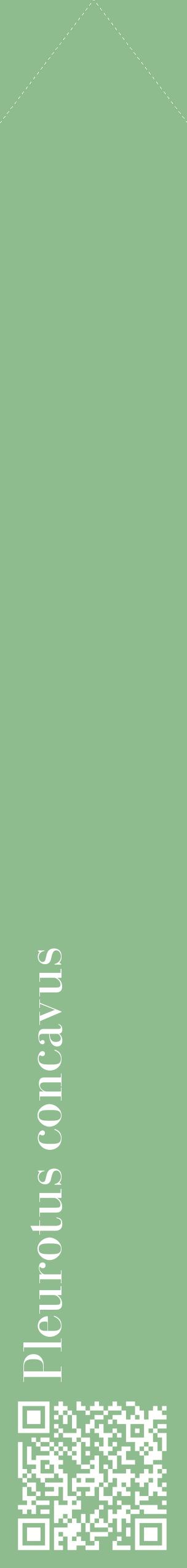 Étiquette de : Pleurotus concavus - format c - style blanche13_simplebod avec qrcode et comestibilité