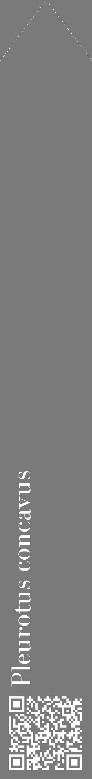 Étiquette de : Pleurotus concavus - format c - style blanche3_simple_simplebod avec qrcode et comestibilité - position verticale