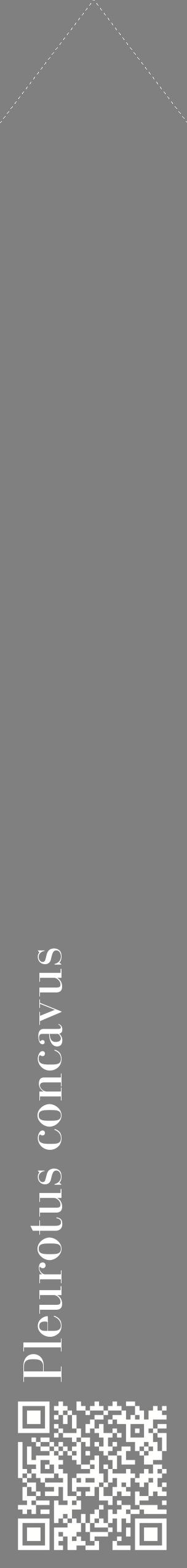 Étiquette de : Pleurotus concavus - format c - style blanche57_simplebod avec qrcode et comestibilité