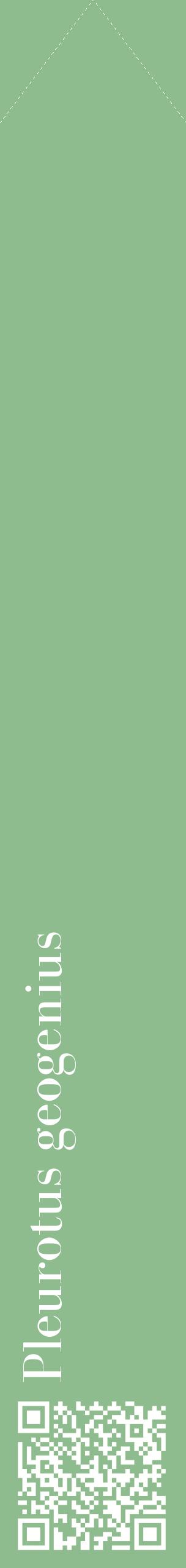 Étiquette de : Pleurotus geogenius - format c - style blanche13_simplebod avec qrcode et comestibilité