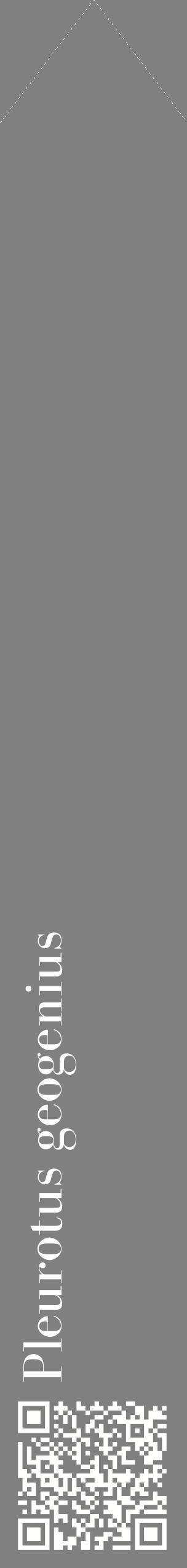 Étiquette de : Pleurotus geogenius - format c - style blanche57_simplebod avec qrcode et comestibilité