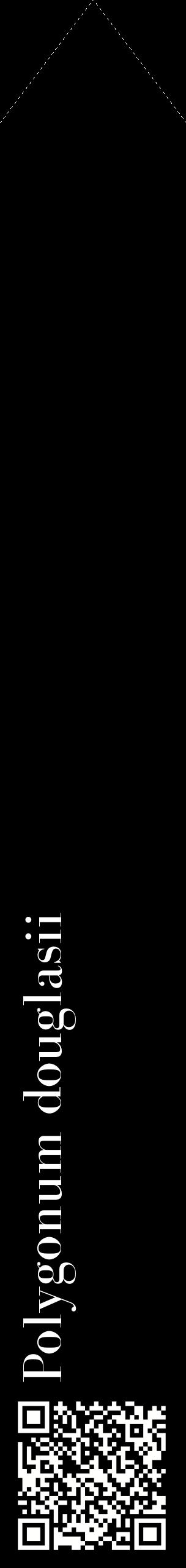 Étiquette de : Polygonum douglasii - format c - style blanche59_simplebod avec qrcode et comestibilité