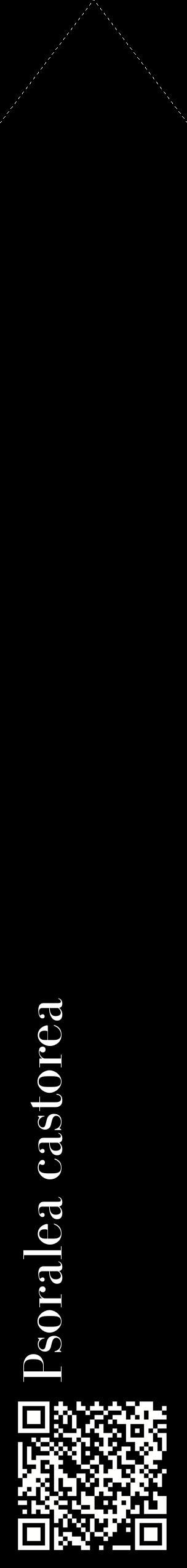 Étiquette de : Psoralea castorea - format c - style blanche59_simplebod avec qrcode et comestibilité