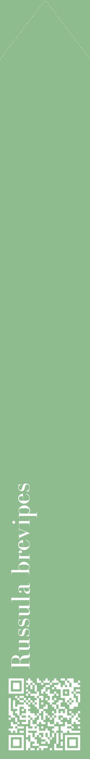 Étiquette de : Russula brevipes - format c - style blanche13_simplebod avec qrcode et comestibilité