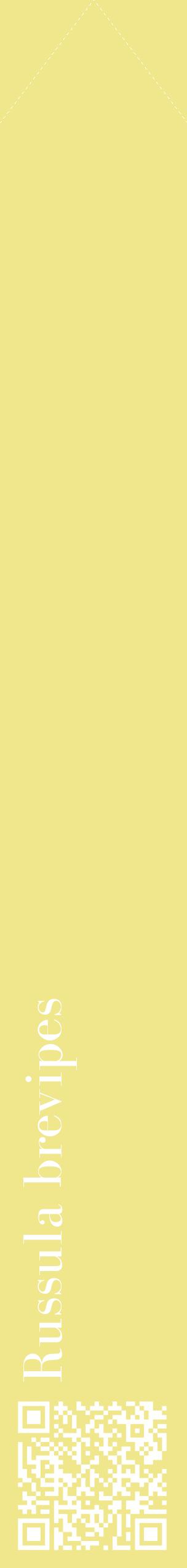 Étiquette de : Russula brevipes - format c - style blanche20_simplebod avec qrcode et comestibilité