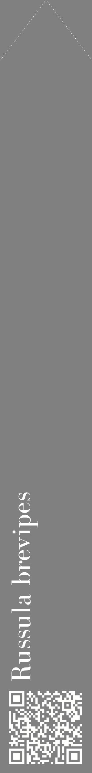 Étiquette de : Russula brevipes - format c - style blanche57_simplebod avec qrcode et comestibilité