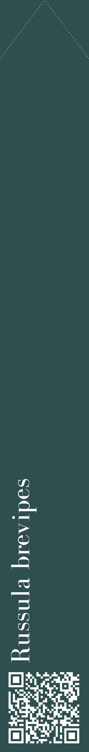 Étiquette de : Russula brevipes - format c - style blanche58_simplebod avec qrcode et comestibilité