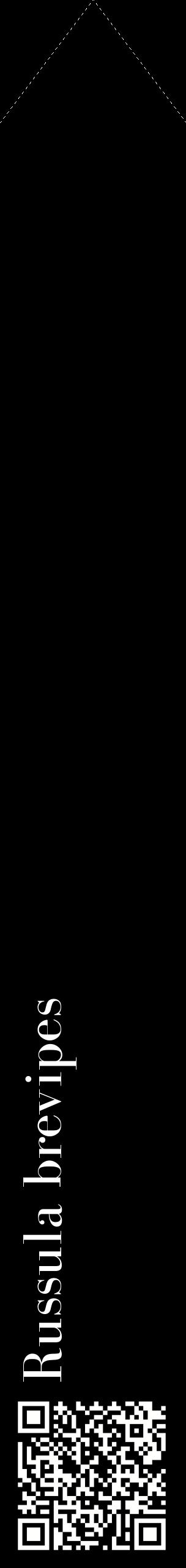 Étiquette de : Russula brevipes - format c - style blanche59_simplebod avec qrcode et comestibilité