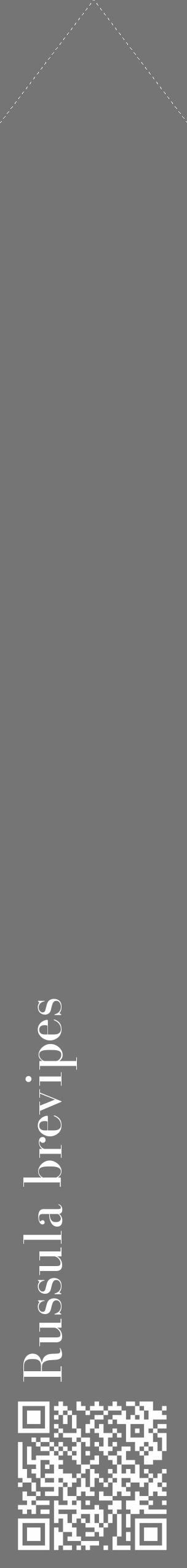 Étiquette de : Russula brevipes - format c - style blanche5_simple_simplebod avec qrcode et comestibilité - position verticale