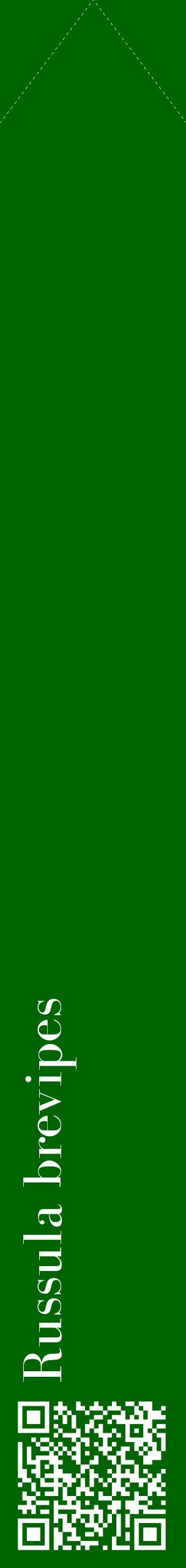 Étiquette de : Russula brevipes - format c - style blanche8_simplebod avec qrcode et comestibilité