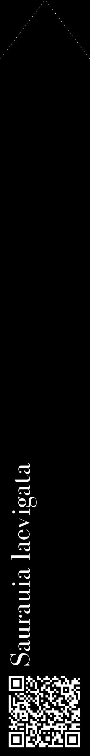 Étiquette de : Saurauia laevigata - format c - style blanche59_simplebod avec qrcode et comestibilité