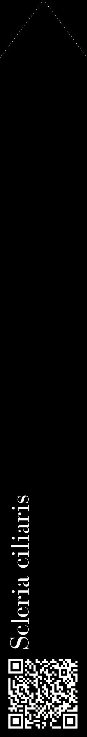 Étiquette de : Scleria ciliaris - format c - style blanche59_simplebod avec qrcode et comestibilité