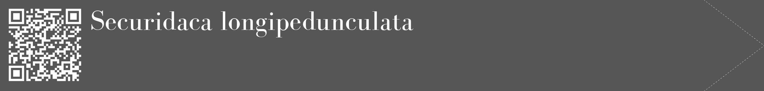 Étiquette de : Securidaca longipedunculata - format c - style blanche45_simple_simplebod avec qrcode et comestibilité